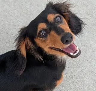 Jolene in NC