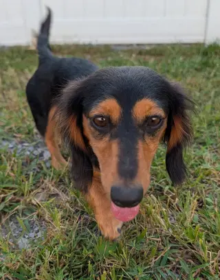 Jolene in NC