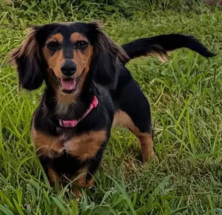 Jolene in NC