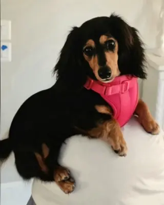 Jolene in NC