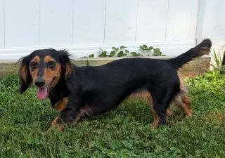 Jolene in NC