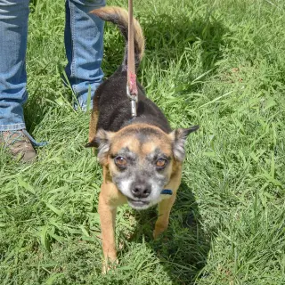 Tucker