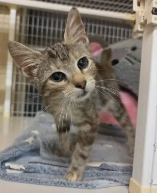 Reese Whiskerspoon