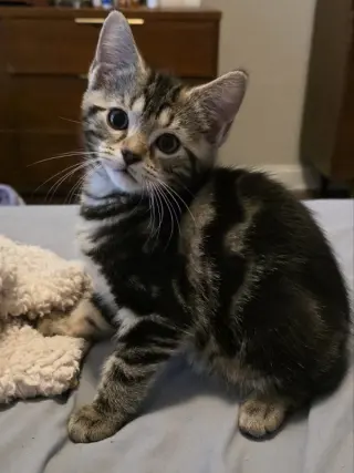 Luka