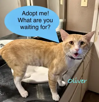 Oliver
