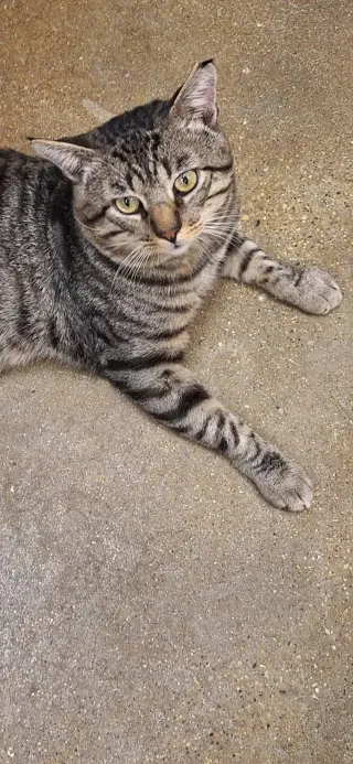 Mr. Cool