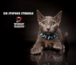 DR STEPHEN STRANGE