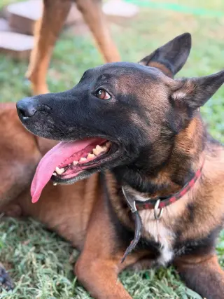 Goober AKA Kono - Located in Texas