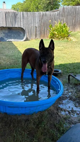 Goober AKA Kono - Located in Texas