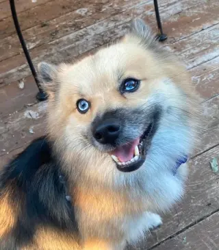 Zeus