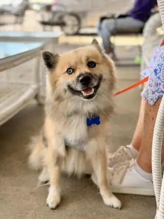 Zeus