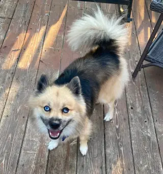 Zeus
