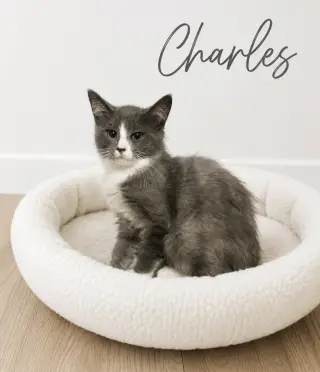 Charles