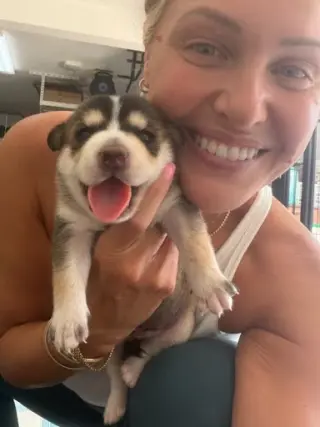 Heidi's Dale