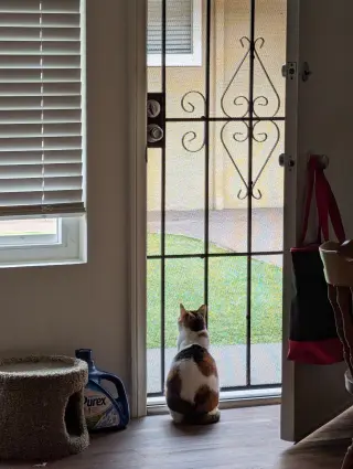 Sophia