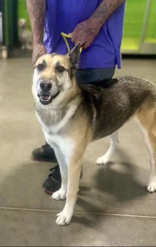 Axel