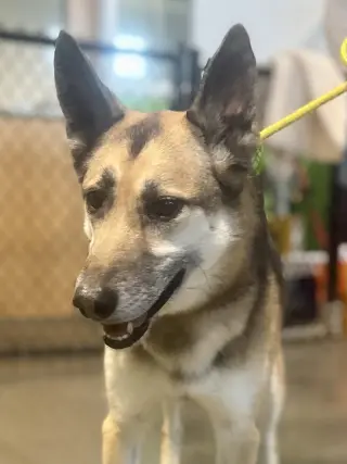 Axel