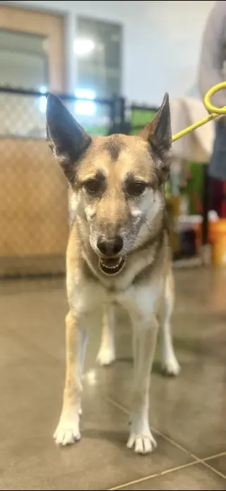 Axel