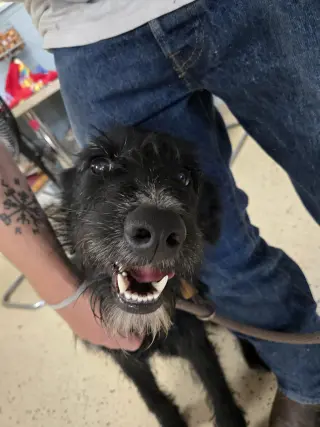 Marley