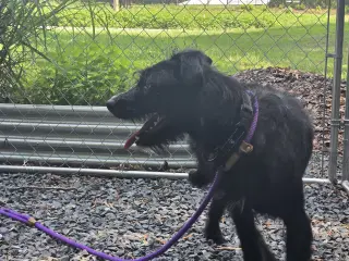 Marley