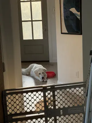 Frank