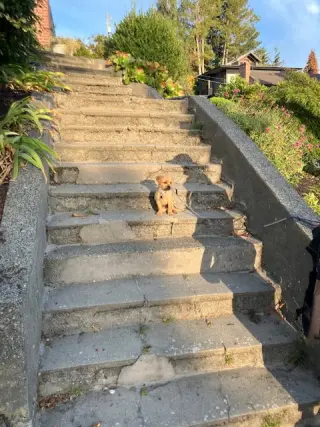 Sunny