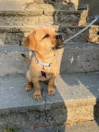 Sunny