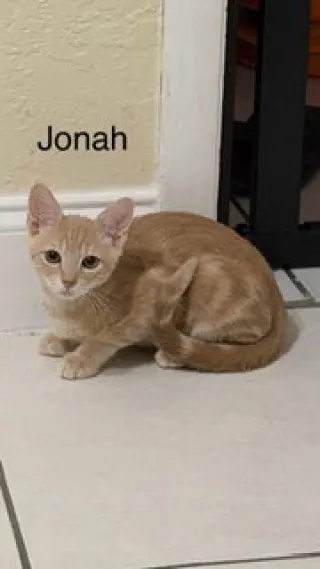 Jonah