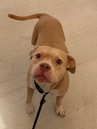 26-323 Ellie