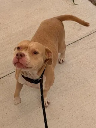 26-323 Ellie