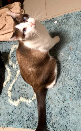 Skye