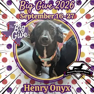 Henry Onyx