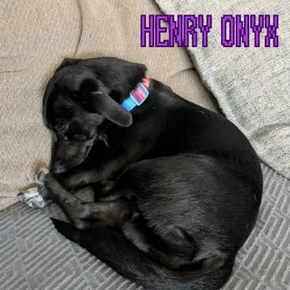 Henry Onyx