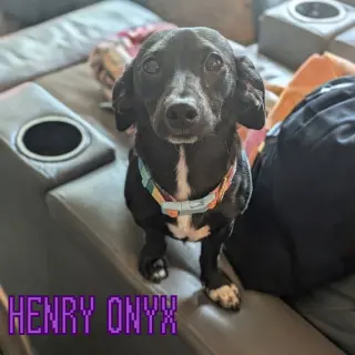 Henry Onyx