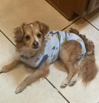 COLBY