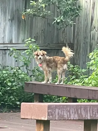 COLBY
