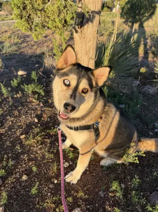 Mishka