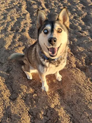 Mishka