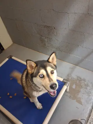 Mishka