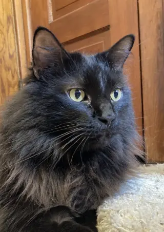Sam