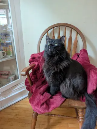 Sam