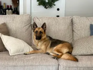Mia