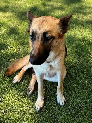 Mia