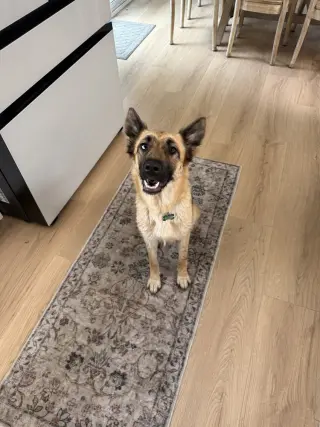 Mia