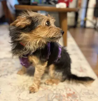 A Beckett