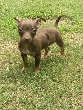 Titan
