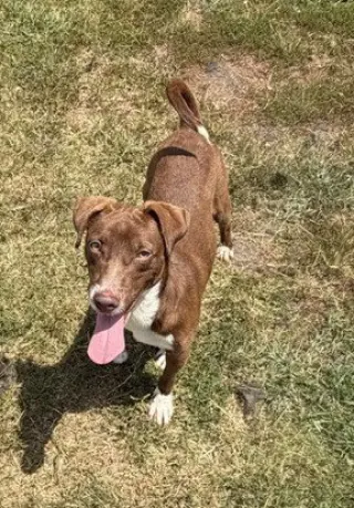 Oscar