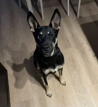 Kira