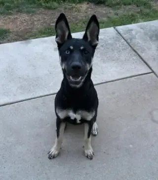 Kira