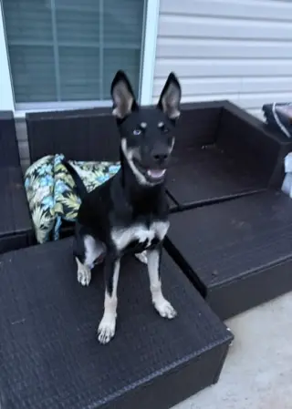 Kira